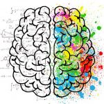 brain-2062055__480