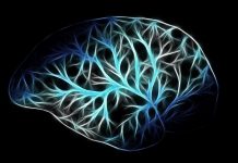 人类误判心理学(上) 人类误判心理学