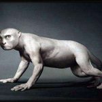 humen