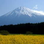 富士山思维模型