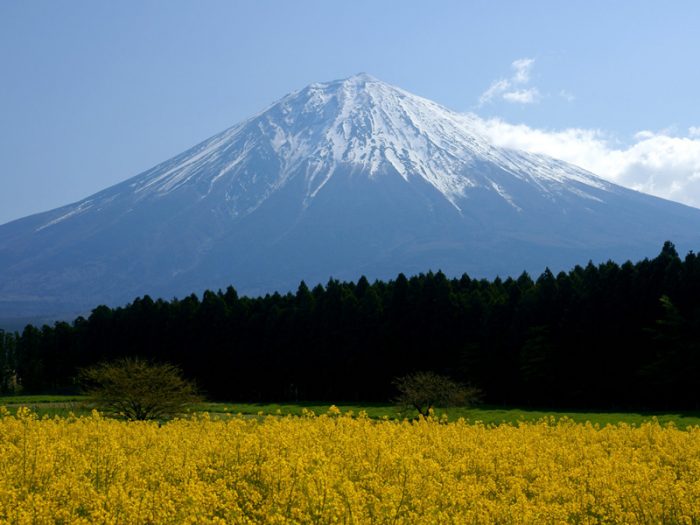 富士山思维模型