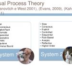 Dual system theory