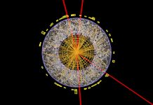 大脑使用手册——建立并丰富你的思维模型 The-model-thinking
