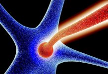 整体性学习法——基于大脑神经认知的高效学习策略 整体性学习技巧