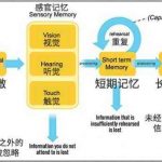 记忆存储模型