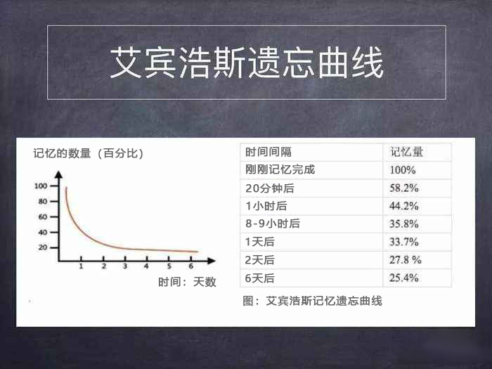记忆原理-探索记忆与遗忘背后的机制 | 芒格学院