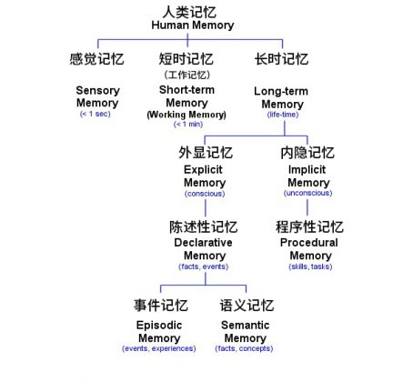 记忆原理-探索记忆与遗忘背后的机制 | 芒格学院