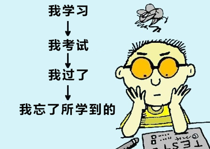 探索记忆与遗忘背后的机制