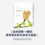 怎样观察一棵树