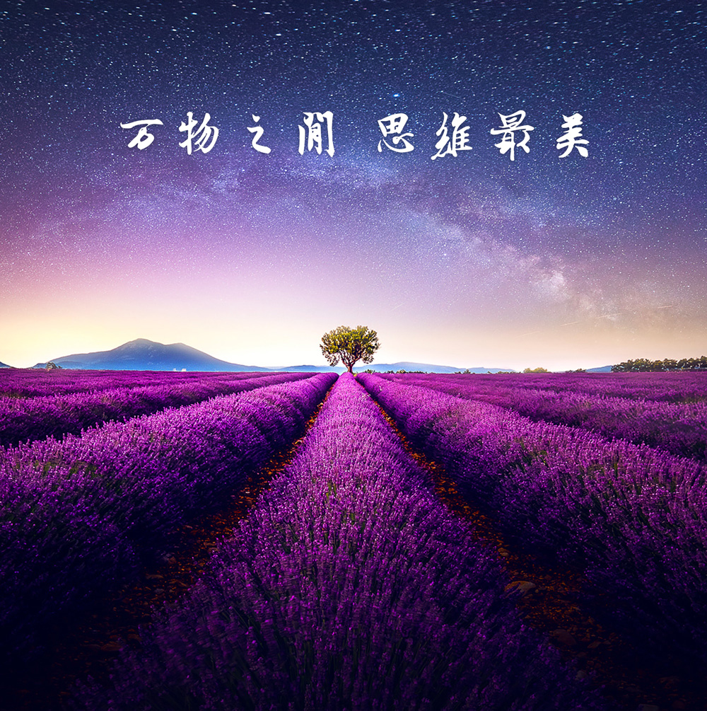 万物之间 思维最美