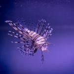生物学思维模型看待商业世界
