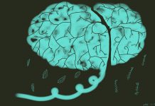 探索大脑——全景式认知人类思维模式