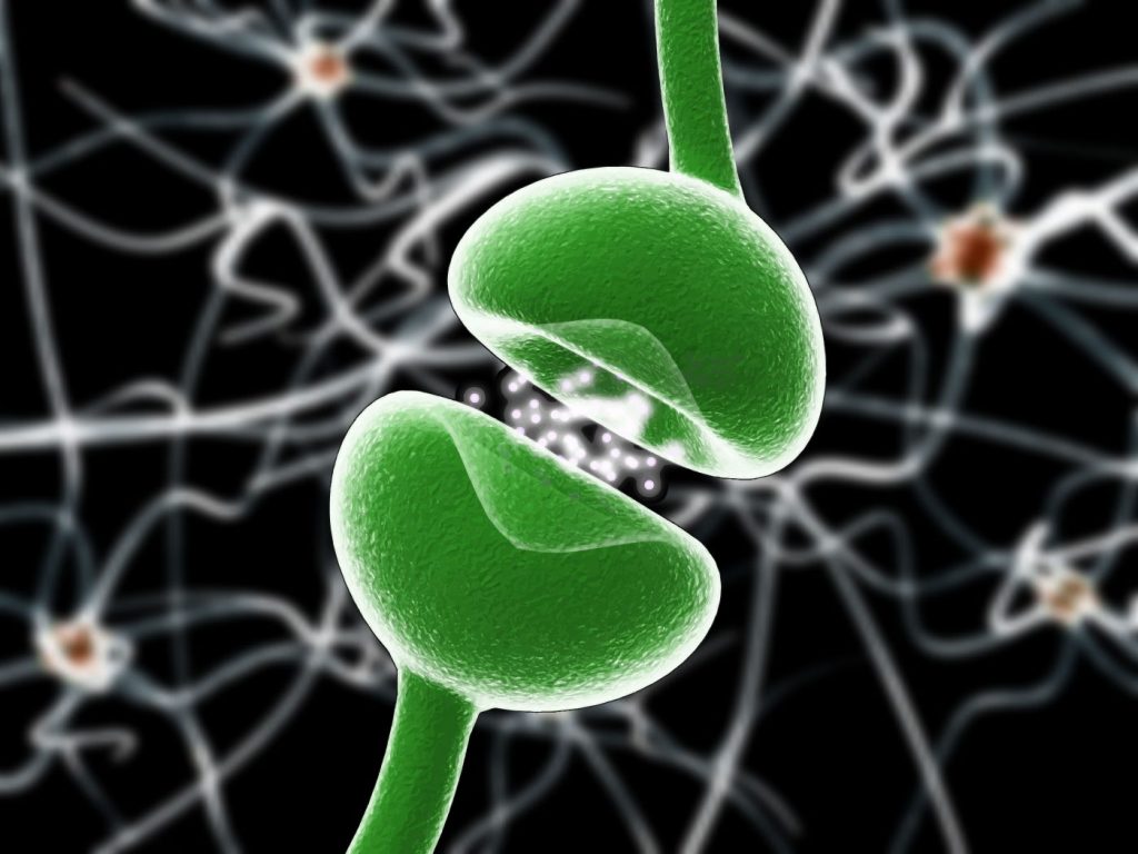 神经元连接