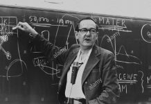 迷宫与花园:西蒙一生跨学科学习的秘密武器