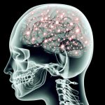 neurons-firing-in-brain