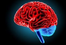 大脑神经可塑性——终身成长的底层机制 大脑神经可塑性