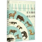 《比人更有趣的哺乳动物》