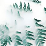 复杂系统简单法则