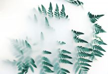 复杂世界里,一套简化决策的过滤系统 复杂系统简单法则