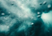 洞悉社会的运行机制:做事,做势,做局,领略天道之美 天道之美