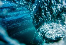 拥抱心流与幸福感——基于积极心理学PERMA模型视角 心流与幸福