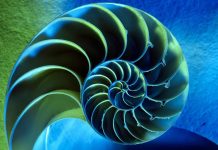 大道至简——分形嬗变之美与人类思维创新之谜 分形