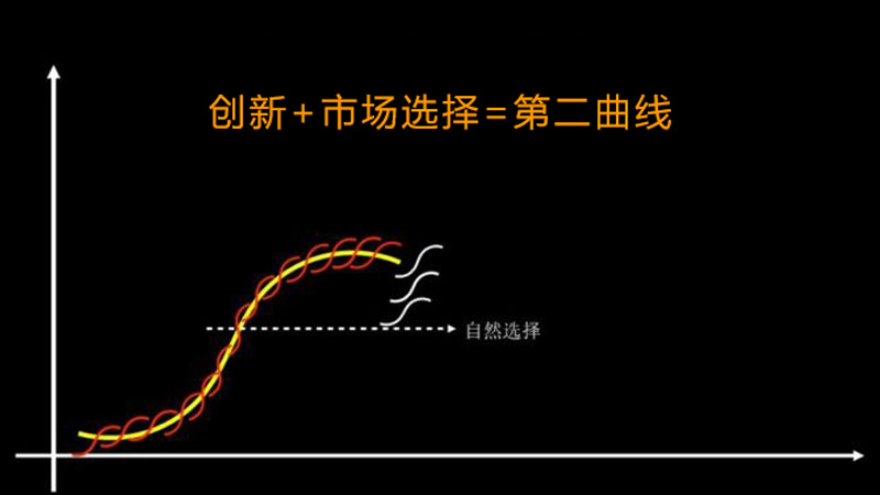 第二曲线