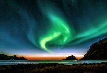 人类商业智慧的演化与商业的基本规律 人类商业智慧的演化与商业的基本规律