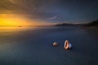 shell