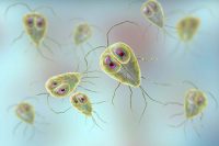 Brought-the-giardia