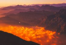 反脆弱:学会从波动和不确定性中获益 反脆弱