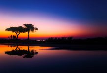 元认知、冥想、审美——内心的自由与觉醒 元认知、冥想、审美——内心的自由与觉醒