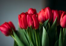 情绪管理的技巧——七个日常练习帮你提高情绪免疫力 情绪管理的技巧