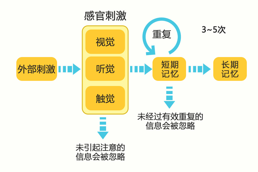 记忆存储模型