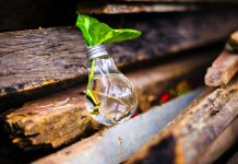 商业的基石——企业家精神与财富增长的源泉 商业的基石——企业家精神与财富增长的源泉