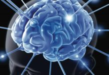 脑力升级策略——塑造成功大脑的8大要素 脑力升级策略——塑造成功大脑的8大要素