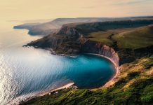 生态位视角——理解生态系统与自然界最底层的生存法则 生态位法则