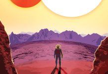 投资智慧—在变化的系统中理解商业的本质 投资智慧—在变化的系统中理解商业的本质