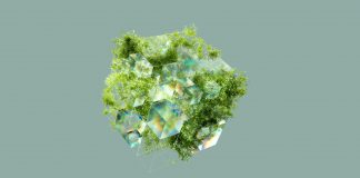 学习者的策略——高效学习的基本原则 学习者的策略——高效学习的基本原则