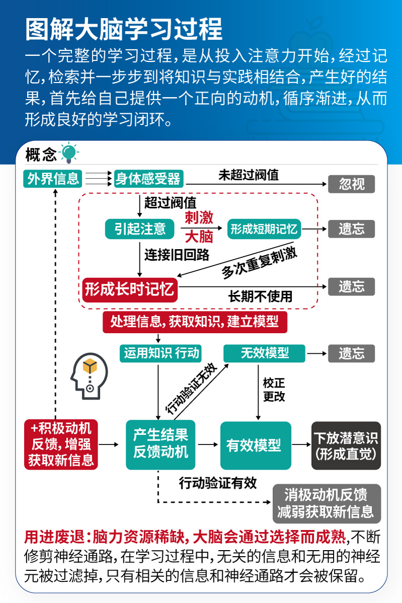 人类的学习方法