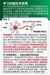 人类的学习方法