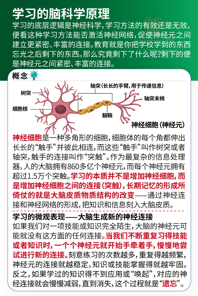 人类的学习方法
