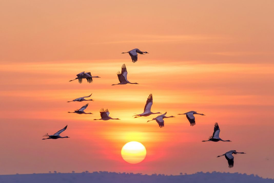 思维方式与思维模型的协同之道 思维方式与思维模型的协同之道